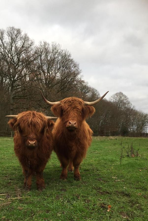 Le Rucher Bois-Normand-près-Lyre Esterno foto