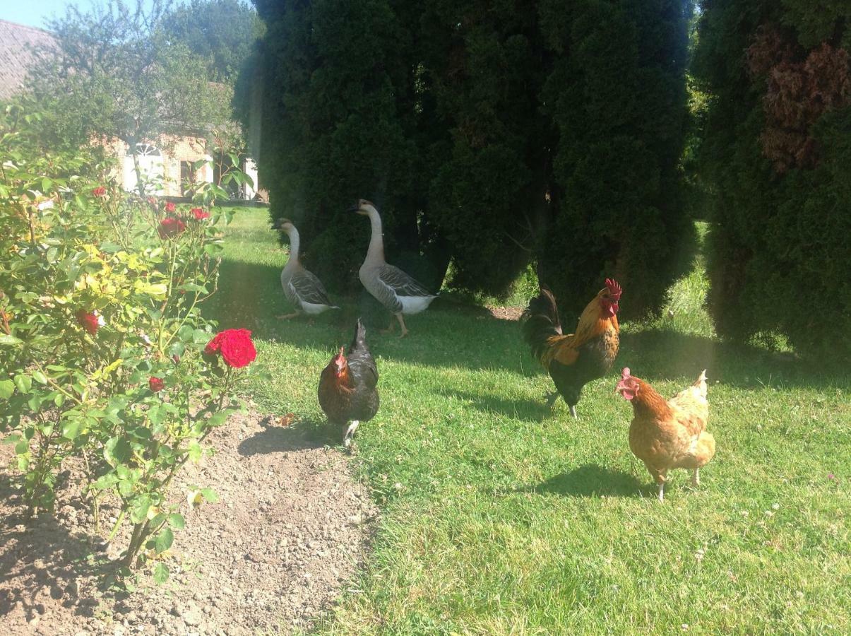 Le Rucher Bois-Normand-près-Lyre Esterno foto